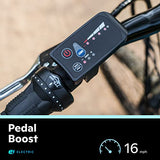 Schwinn Healy Ridge Youth Electric Mountain Bike, 18-Speed Drivetrain