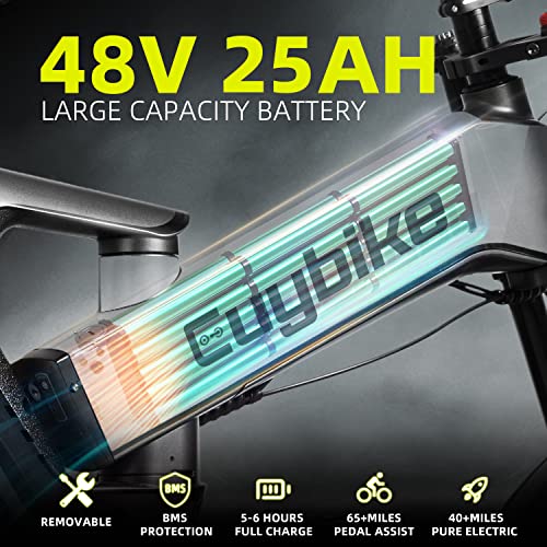 bluebiko K6F Electric Bike for Adults, 20 "x4.0 Fat Tire Electric Bicycle with 1000W Motor