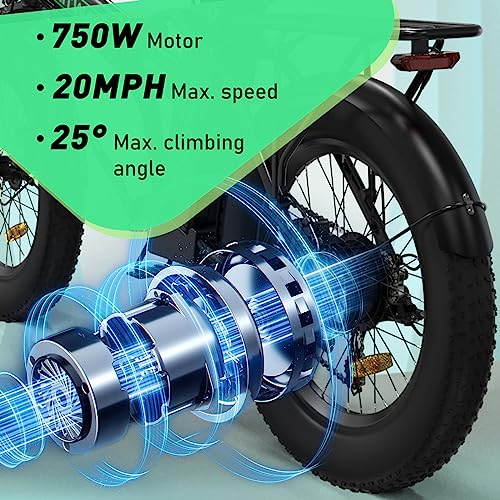 HITWAY Electric Bike for Adults, 20" x 4.0 Fat Tire with 750W Motor