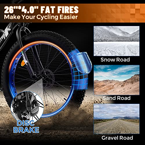 ECOTRIC Cheetah Electric Bike 26" X 4" Fat Tire Bicycle 500W 36V 12.5AH Battery