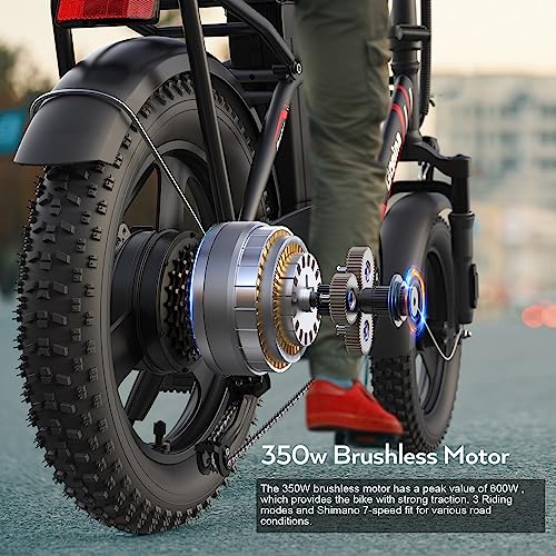 Gopina Electric Bike, 16" x 3.0 Fat Tire Electric Bike for Adults, 350W Folding Electric Bike