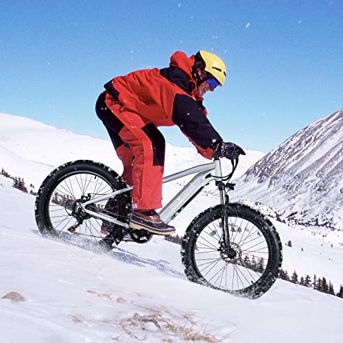 PEXMOR Electric Bike for Adults, 750W Ebike Electric Bicycle for Adults 48V 14AH Removable LG Battery