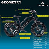 TROXUS Electric Bike for Adults with 750W Motor
