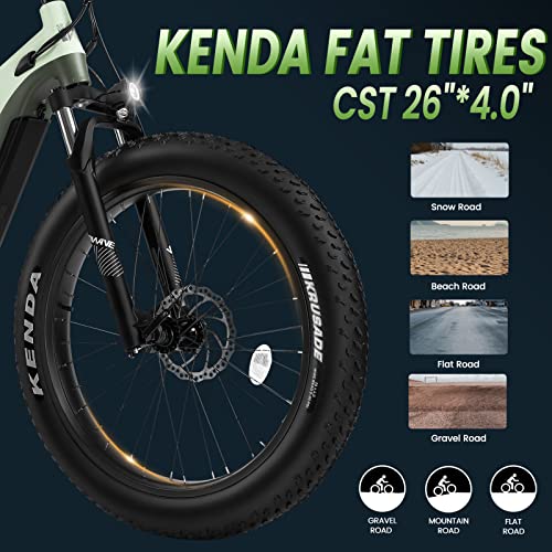 VELOWAVE Electric Bike for Adults 750W Bafang Motor,48V 20AH LG Cells Battery