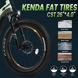 VELOWAVE Electric Bike for Adults 750W Bafang Motor,48V 20AH LG Cells Battery