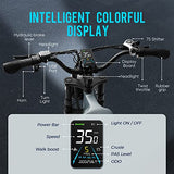 eAhora Juliet 60Ah 1000W Electric Bike for Adults Long Range Electric Bike 20