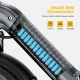 Heybike Ranger S Electric Bike for Adults, Foldable 750W Ebike