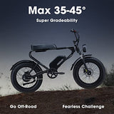 MEELOD Electric Bike Ebike with 750W Brushless Motor