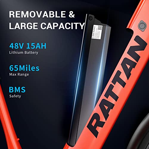 Rattan Pathfinder Electric Bike Adults,48V 15AH Removable Battery Ebike with 750W Motor
