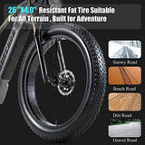 DAMSON Electric Bike 1000W 48V 20AH/17.5AH Removable Battery Mountain Electric Bicycle
