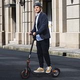 Segway Ninebot F40 Electric Kick Scooter, 350W Powerful Motor