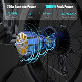 DAMSON Electric Bike 1000W 48V 20AH/17.5AH Removable Battery Mountain Electric Bicycle