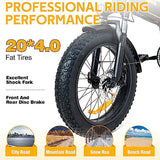 HITWAY Electric Bike for Adults 20" x4.0 Fat Tire Electric Bicycle with 750W Motor