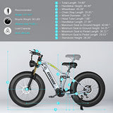 DAMSON Electric Bike 1000W 48V 20AH/17.5AH Removable Battery Mountain Electric Bicycle