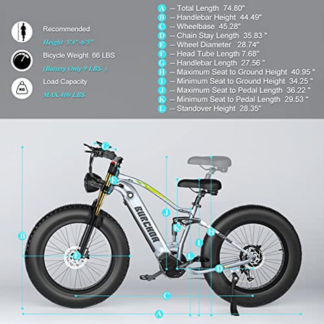 DAMSON Electric Bike 1000W 48V 20AH/17.5AH Removable Battery Mountain Electric Bicycle
