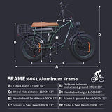 1CYCLE Electric Bikes 2000w Ebikes for Adults, Dual Motor Fat Tire Electric Mountain Bike