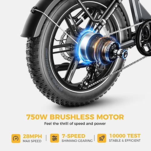 Heybike Ranger S Electric Bike for Adults, Foldable 750W Ebike