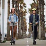 Segway Ninebot E22 E45 Electric Kick Scooter, Lightweight and Foldable