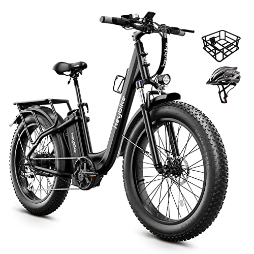 Heybike Explore Electric Bike for Adults 48V 20AH Removable Massive Battery