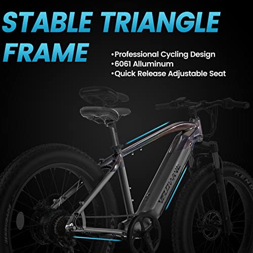 VELOWAVE Electric Bike Adults 750W BAFANG Motor 48V 15Ah LG Cells Battery