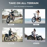 Heybike Explore Electric Bike for Adults 48V 20AH Removable Massive Battery