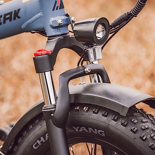 Hipeak Electric Bike for Adults, Ebike 750W/48V/15Ah, 20" x 4.0" Fat Tires Electric Bike