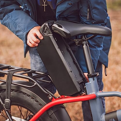 Hipeak Electric Bike for Adults, Ebike 750W/48V/15Ah, 20" x 4.0" Fat Tires Electric Bike