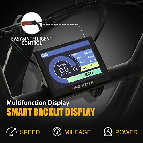 Totem Hauler Electric Bike for Adults, 20"*3.0 Fat Tire Ebike 48V 15Ah