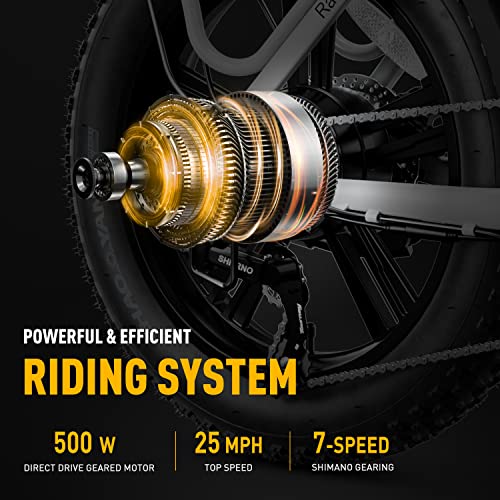 Heybike Ranger Electric Bike for Adults 500W Foldable Ebike with 48V 15Ah Removable Battery