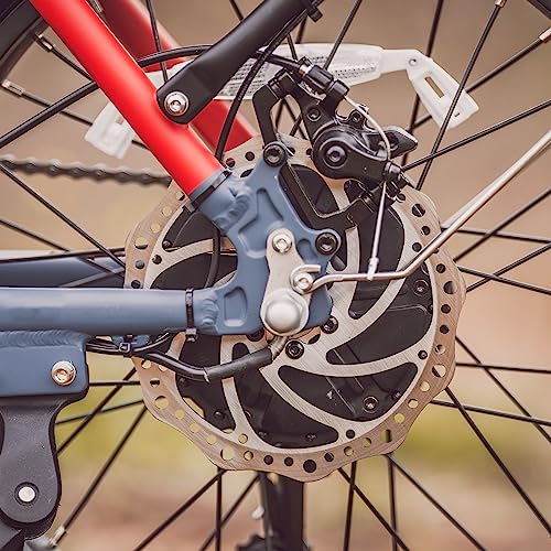 Hipeak Electric Bike for Adults, Ebike 750W/48V/15Ah, 20" x 4.0" Fat Tires Electric Bike