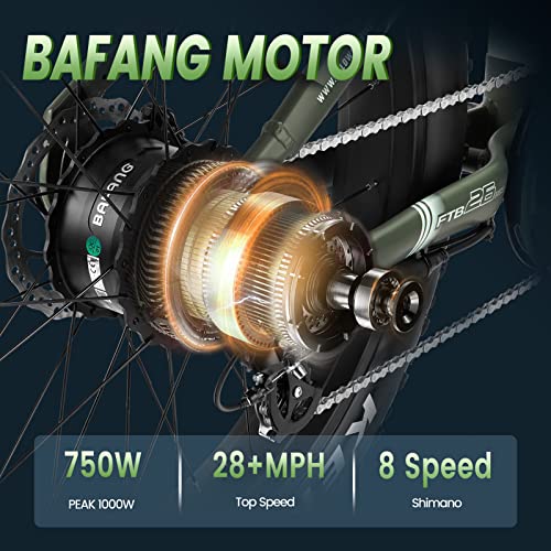 VELOWAVE Electric Bike for Adults 750W Bafang Motor,48V 20AH LG Cells Battery