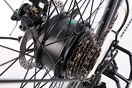 NARRAK Electric Bicycles, 350W Brushless Motor