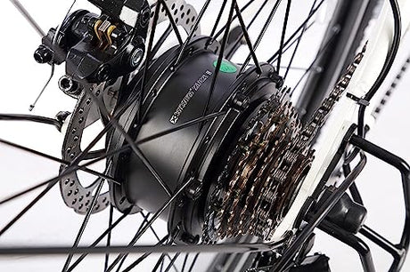 NARRAK Electric Bicycles, 350W Brushless Motor