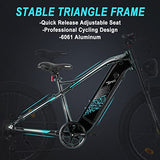 Electric Bike, FREESKY 750W Electric Bike for Adults BAFANG Motor 48V 15Ah