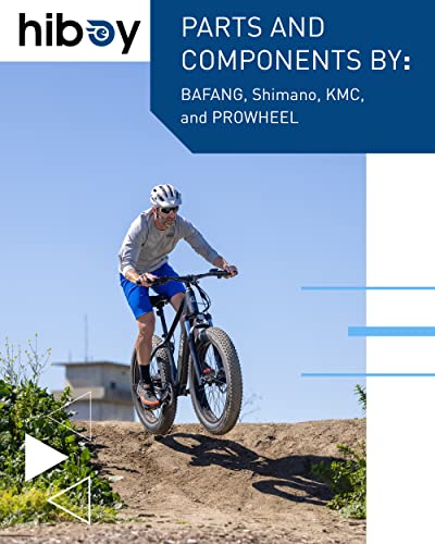 Hiboy P6 Electric Bike 28MPH 62.1Miles Range 750W Motor 48V 13Ah Removable Battery