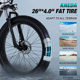 PEXMOR Electric Bike for Adults, 750W Ebike Electric Bicycle for Adults 48V 14AH Removable LG Battery