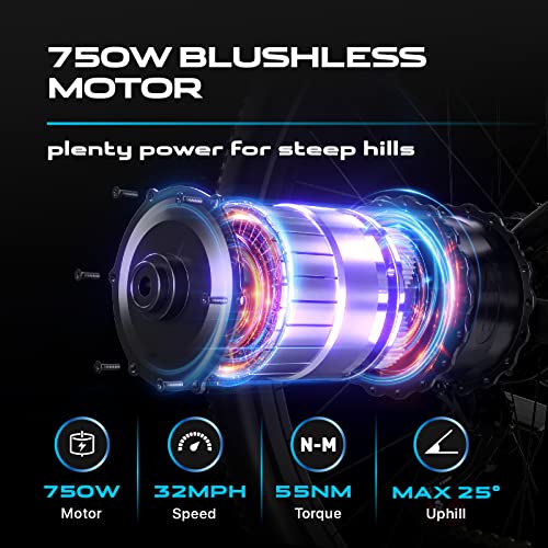 Electric Mountain Bike 29'' 750W 48V 15Ah Battery Removable E Bicycle