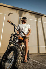 Fat Tire Electric Bike, 500W Brushless Motor, 48V/13Ah Removable Lithium-Ion Battery