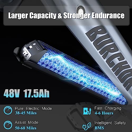 DAMSON Electric Bike 1000W 48V 20AH/17.5AH Removable Battery Mountain Electric Bicycle