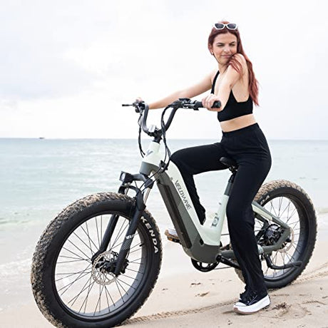 VELOWAVE Electric Bike for Adults 750W Bafang Motor,48V 20AH LG Cells Battery