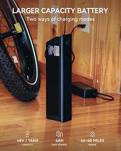 Heybike Brawn Electric Bike 48V 18Ah Removable Battery Ebike