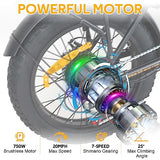 HITWAY Electric Bike for Adults 20" x4.0 Fat Tire Electric Bicycle with 750W Motor