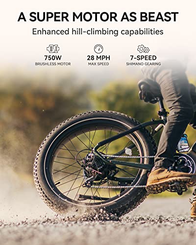 Heybike Brawn Electric Bike 48V 18Ah Removable Battery Ebike