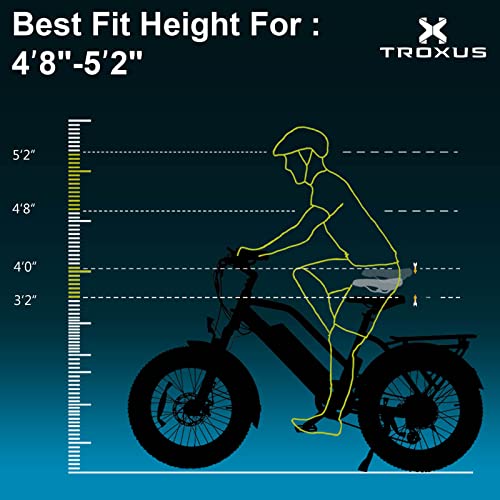 TROXUS Electric Bike for Adults with 750W Motor