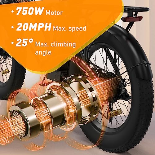 HITWAY Electric Bike for Adults, 20" x 4.0 Fat Tire with 750W Motor
