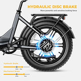Heybike Ranger S Electric Bike for Adults, Foldable 750W Ebike