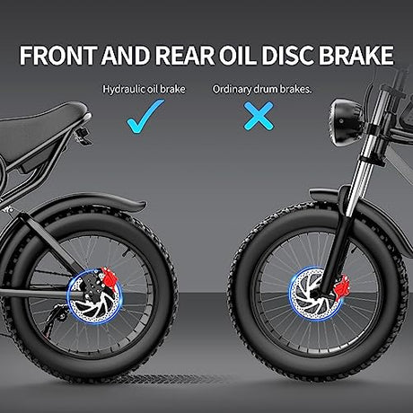 Ridstar Electric Motorcycles for Adults, 1000W 20AH 30MPH Electric Bike 20'' Fat Tire