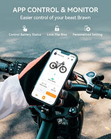 Heybike Brawn Electric Bike 48V 18Ah Removable Battery Ebike