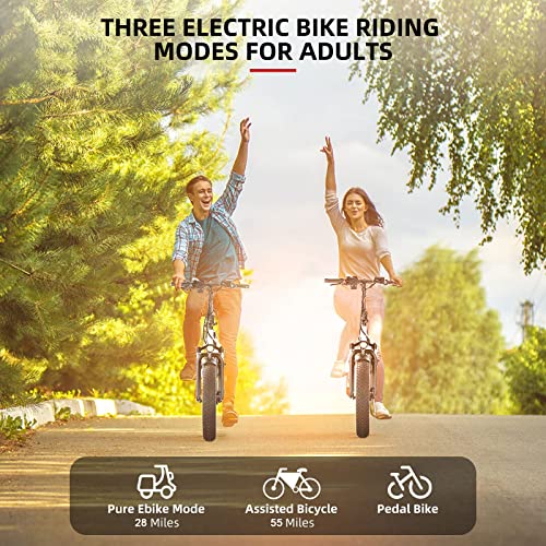 Electric Bike for Adults,750W Folding Electric Bike with 48V 13Ah Removable Battery