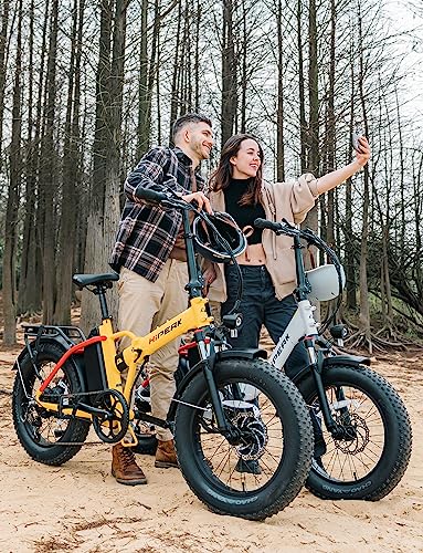 Hipeak Electric Bike for Adults, Ebike 750W/48V/15Ah, 20" x 4.0" Fat Tires Electric Bike